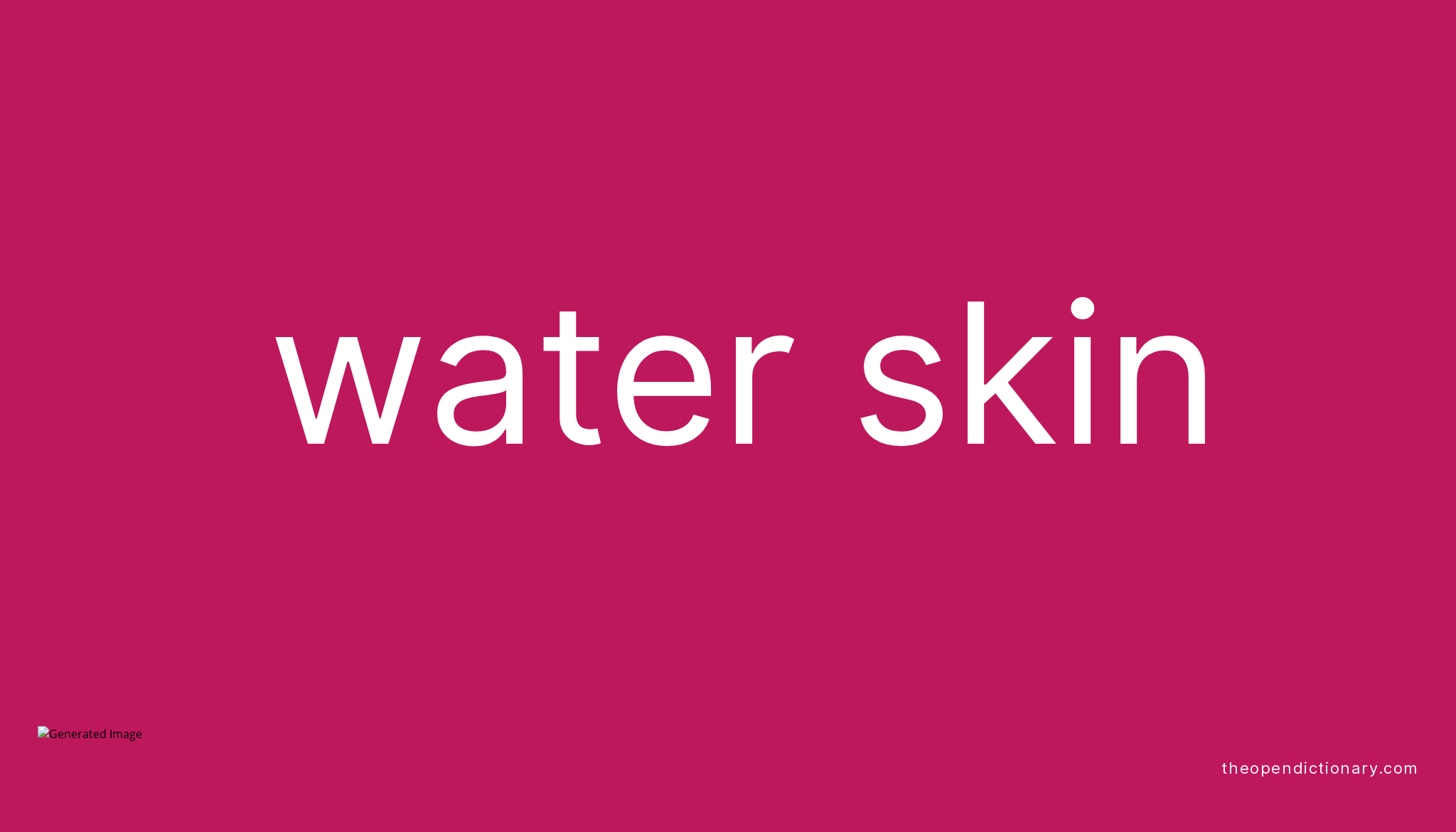 Water skin Meaning of Water skin Definition of Water skin Example